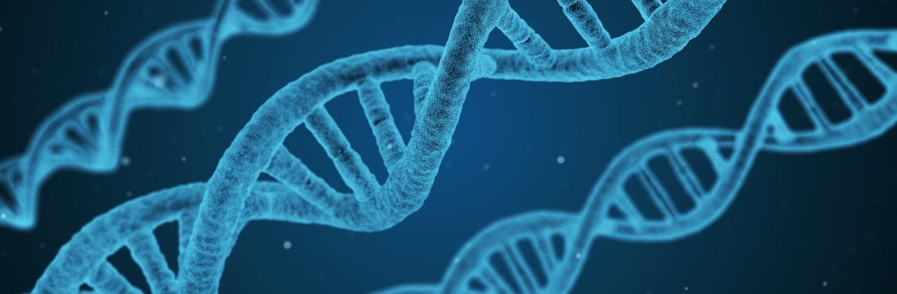 Eine Stunde Bewegung in der Woche kann die Gene überlisten