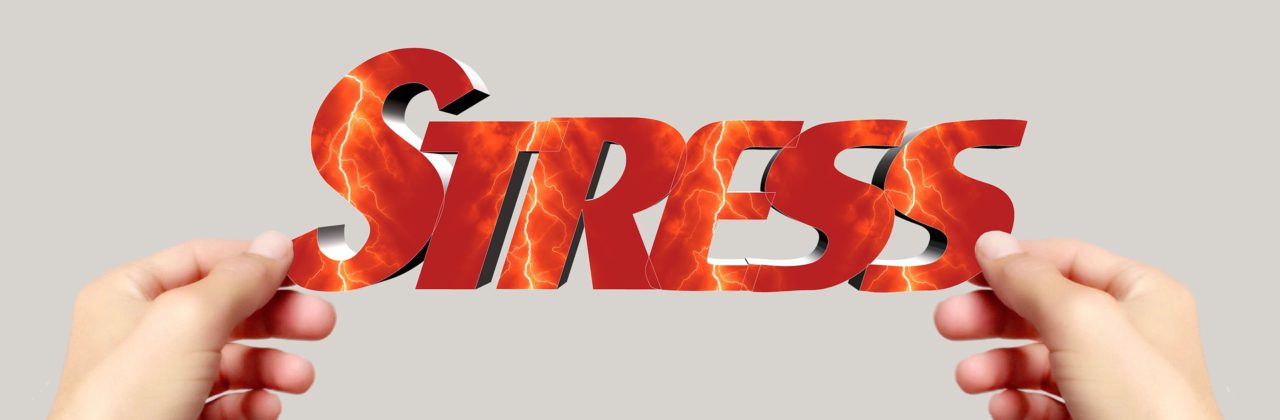 Stress macht fünf Kilogramm Übergewicht im Jahr
