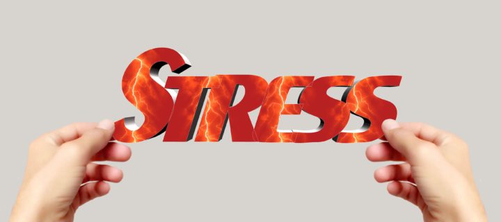 Stress macht fünf Kilogramm Übergewicht im Jahr