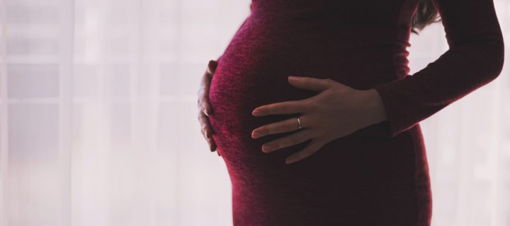Warum Bisphenol A dick macht